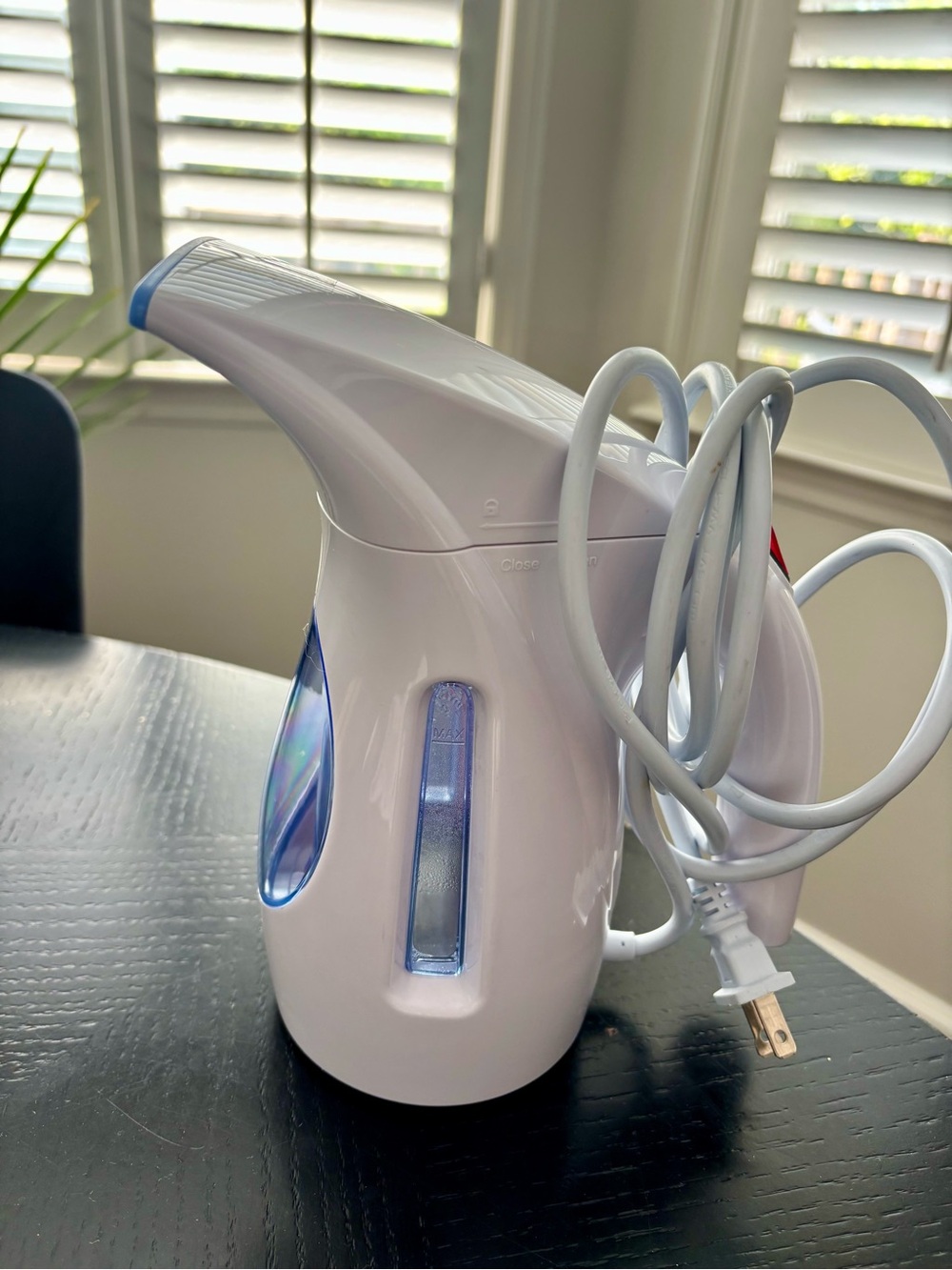 Clothes Steamer no brand works great